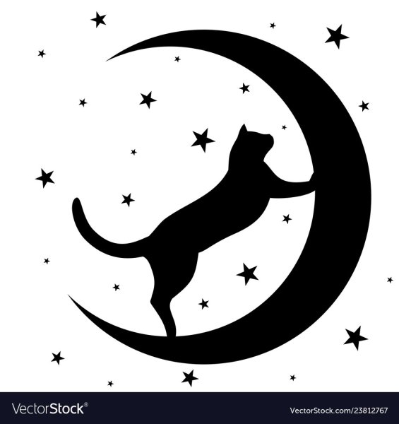Кошка на полумесяце