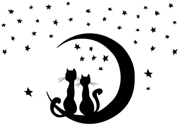 Кошка на полумесяце