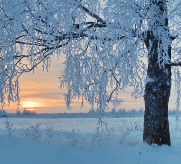 Зимние пейзажи с пожеланием доброго