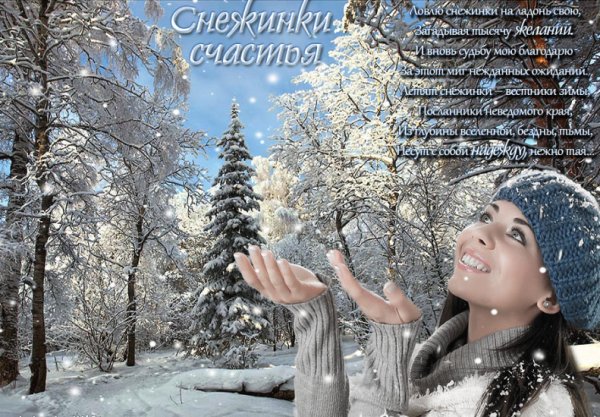 Лови снежинку счастья