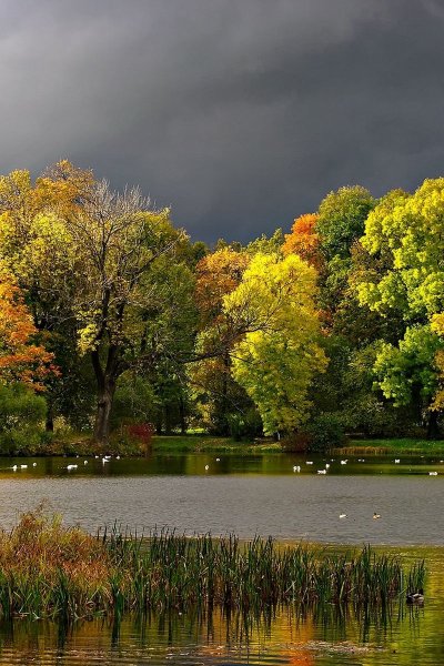 Осенний пейзаж фон