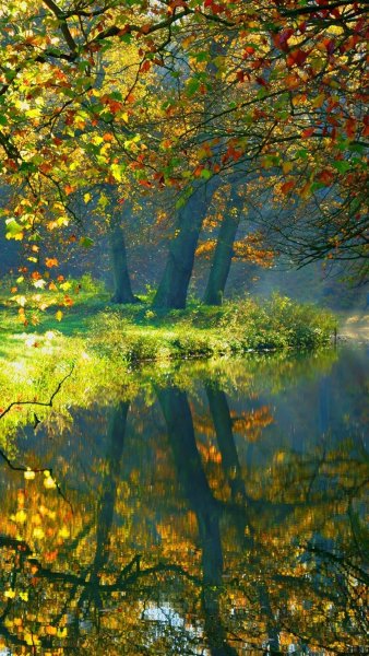 Картина ранняя осень