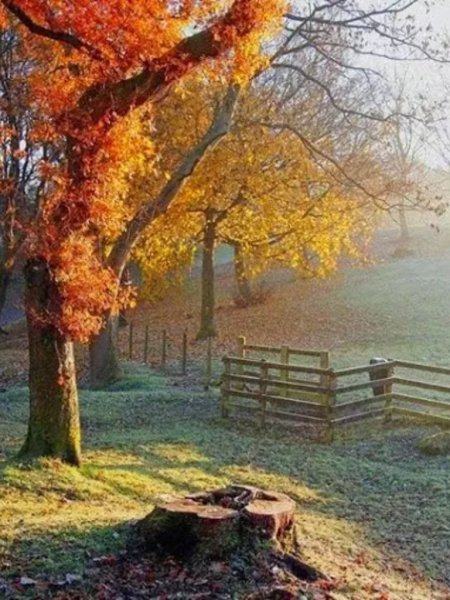 Осенний дождь и природа с речкой