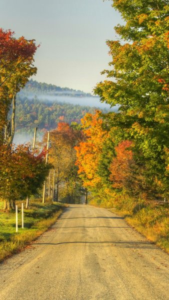 Осеннее утро