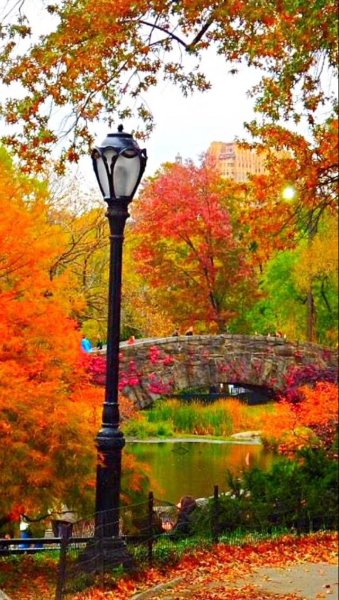 Природа осенью