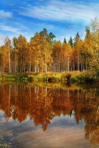 Осень Марьино парк река