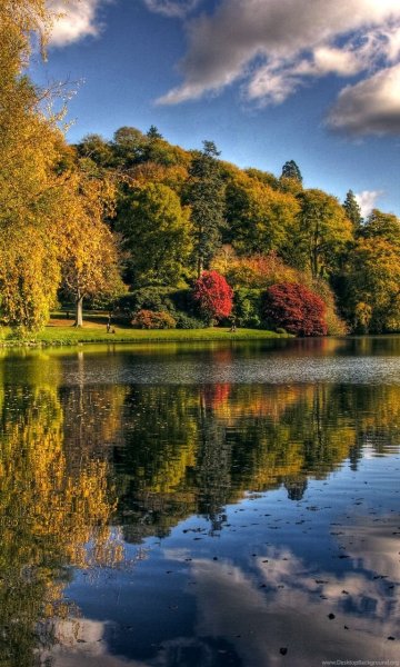 Золотая осень