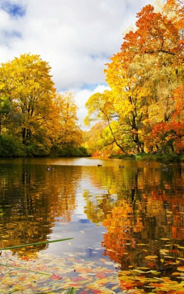 Ранняя осень