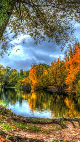 Золотая осень