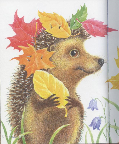 Ежик с листочками
