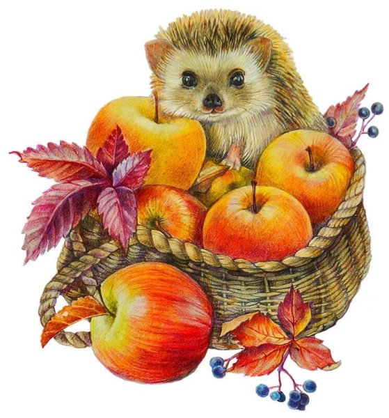 Осень Ежик яблоко