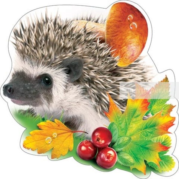 Ежик с листочками