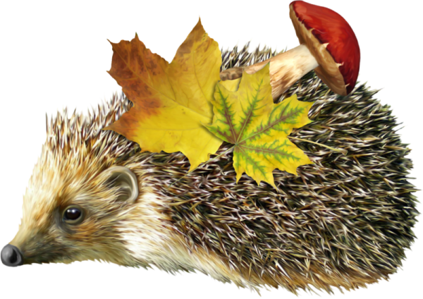 Ежик с листьями