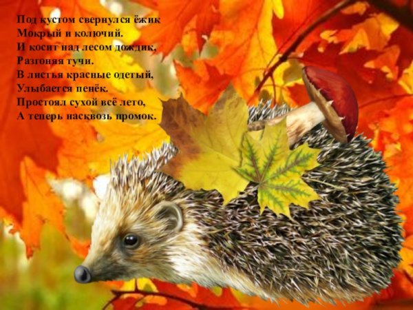 Стихотворение про ежика и осень