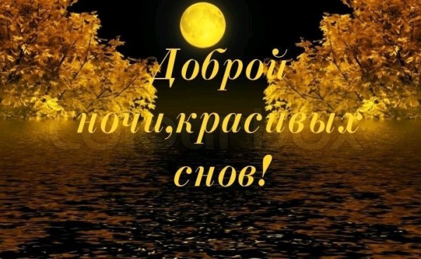 Доброй осенней ночи