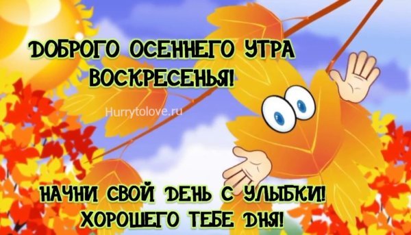 С добрым осенним утром воскресенья