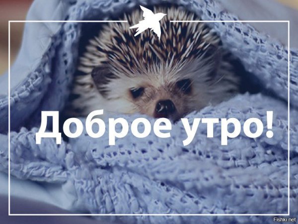 Доброе зимнее утро понедельника