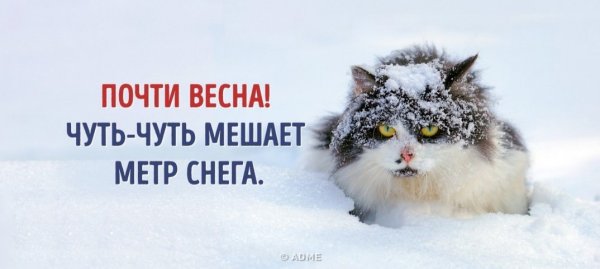 Ещё чуть-чуть и Весна