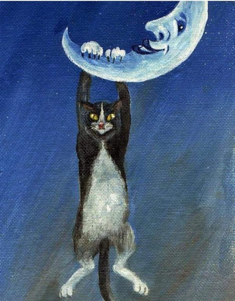 Кот на полумесяце