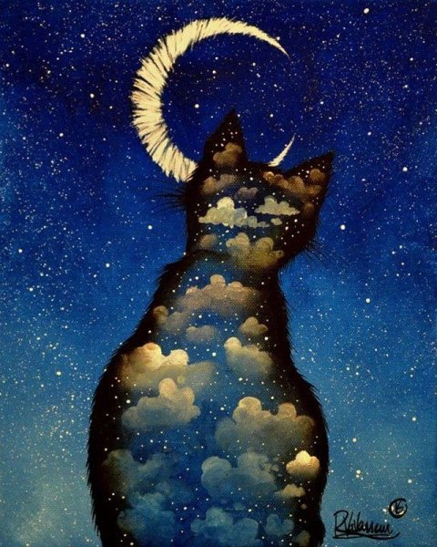 "Лунный кот"