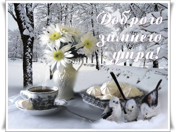 Пожелания с добрым зимним утром