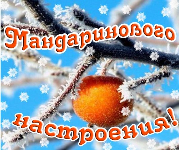 Солнечного зимнего настроения