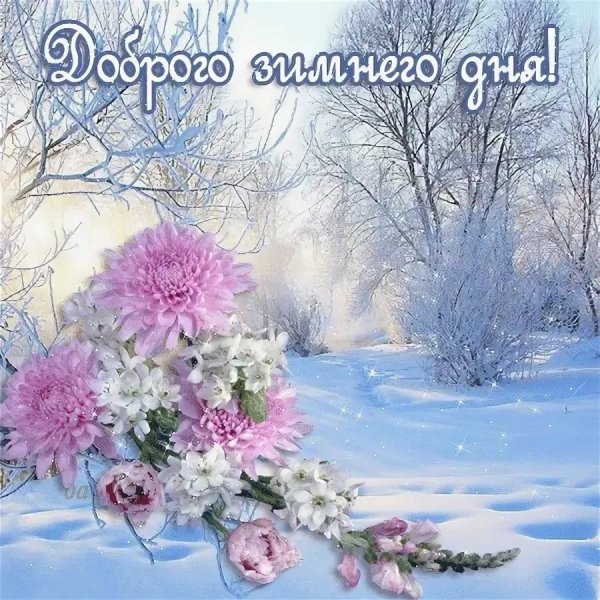 Прекрасного зимнего дня