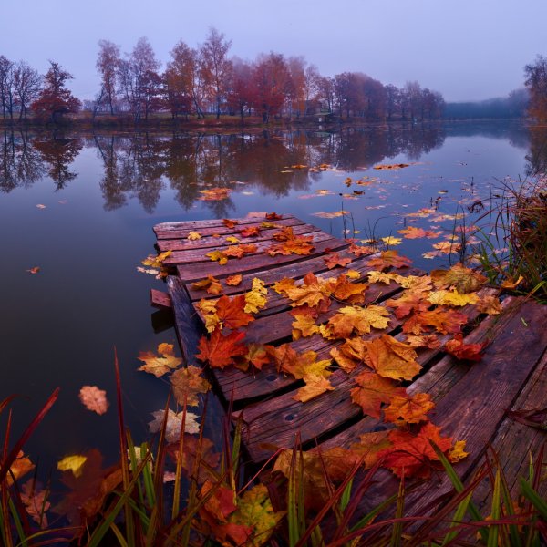 Осень озеро