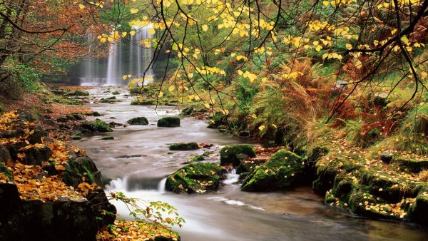 Обои на рабочий стол осень