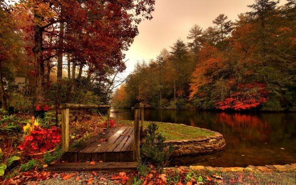 Осень мост река