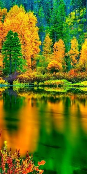 Яркие краски осени