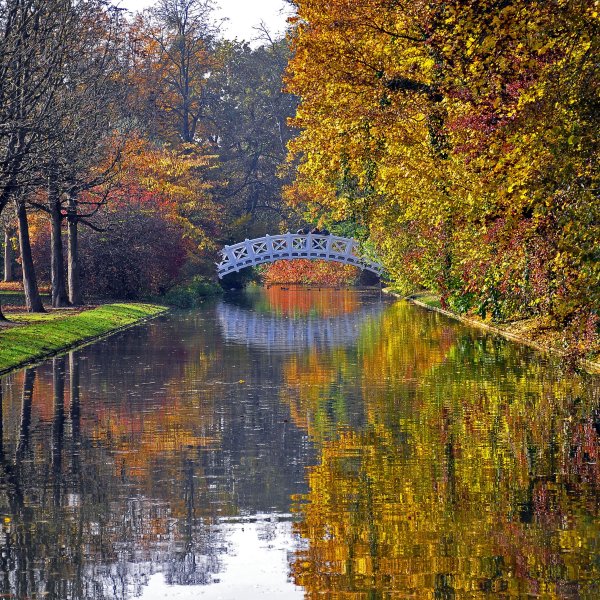 Осень парк река мост
