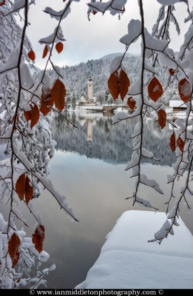 Зимняя природа анимация