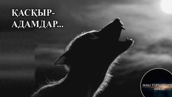 Оборотень воет