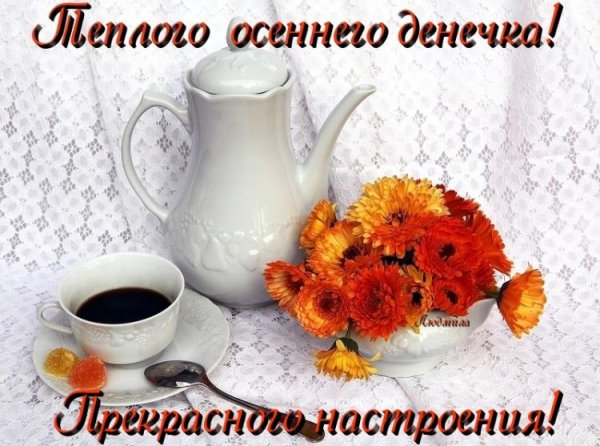 Теплого осеннего денечка и отличного настроения