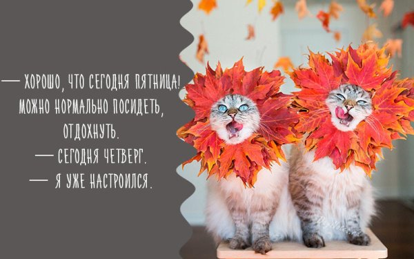 Осенний позитивчик для поднятия настроения