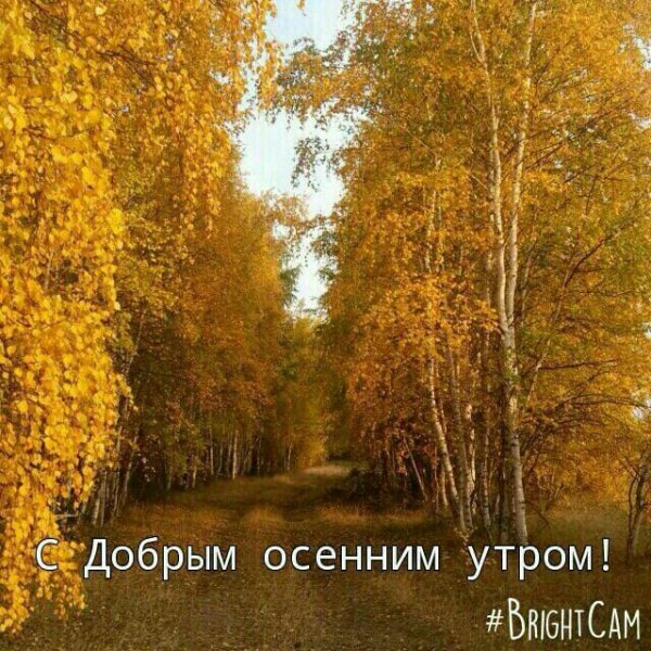 С добрым осенним утром природа