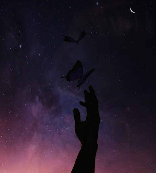 Тянется к звездам