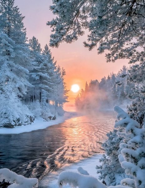Зимняя природа