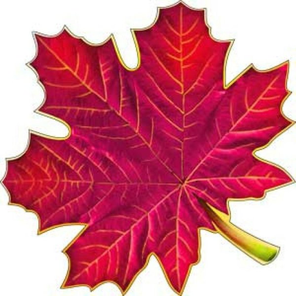 Кленовый листочек а4