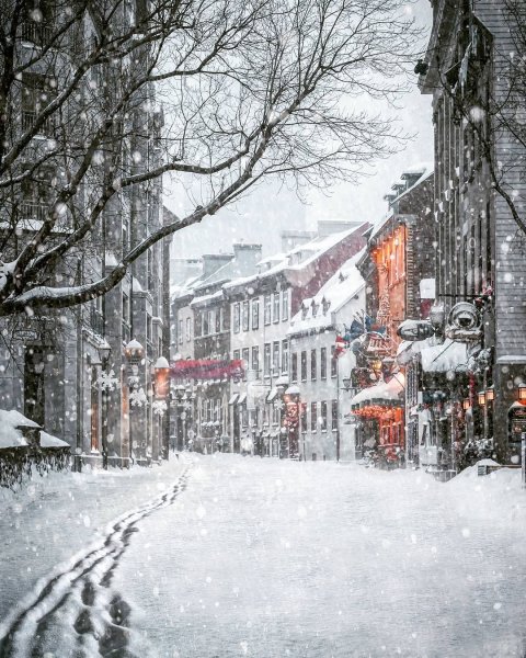 Зима в городе