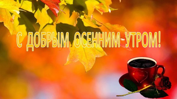 Осень настала с добрым утром