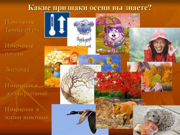 Признаки осени в природе