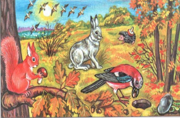 Звери готовятся к зиме