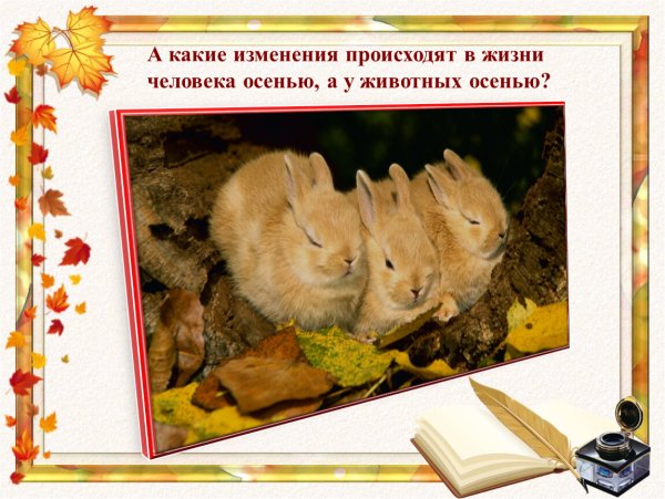Какие изменения происходят в жизни животных осенью