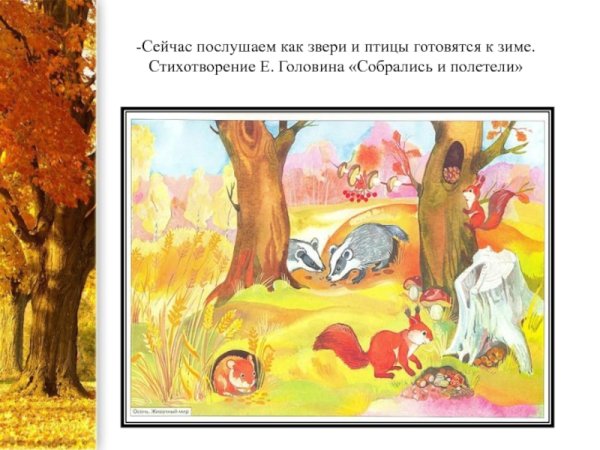 Птицы и животные готовятся к зиме