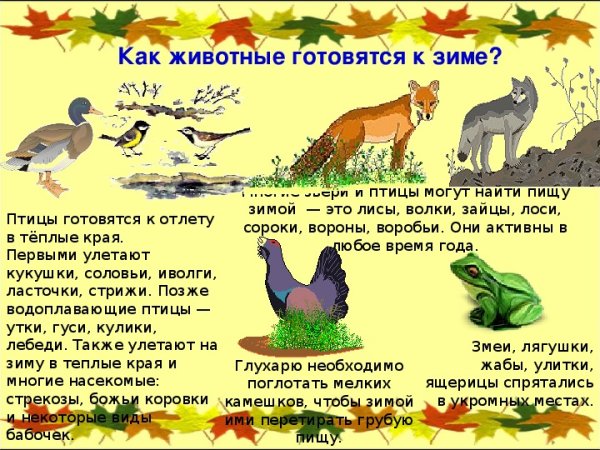 Осенние явления в жизни растений и животных