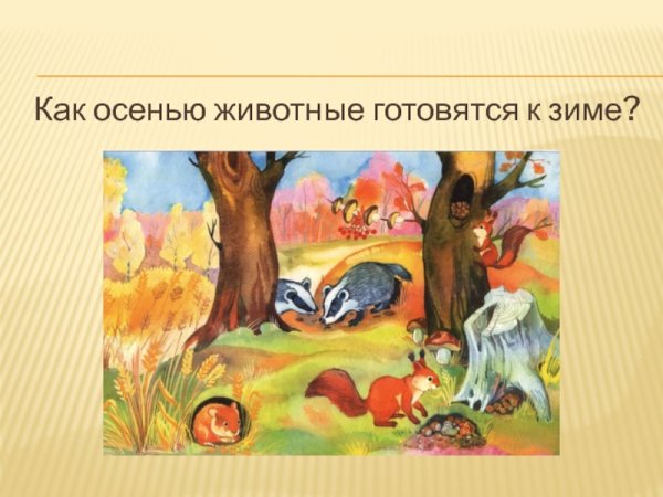 Осенью животные готовятся к зиме