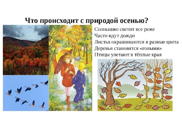 Сезонные изменения осенью