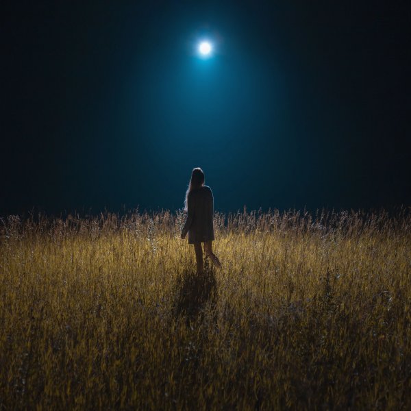 Ночное поле